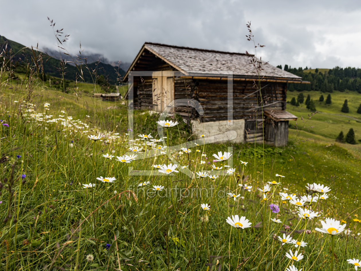 Bild-Nr.: 12939927 Almhütte auf der Seiser Alm erstellt von DirkR