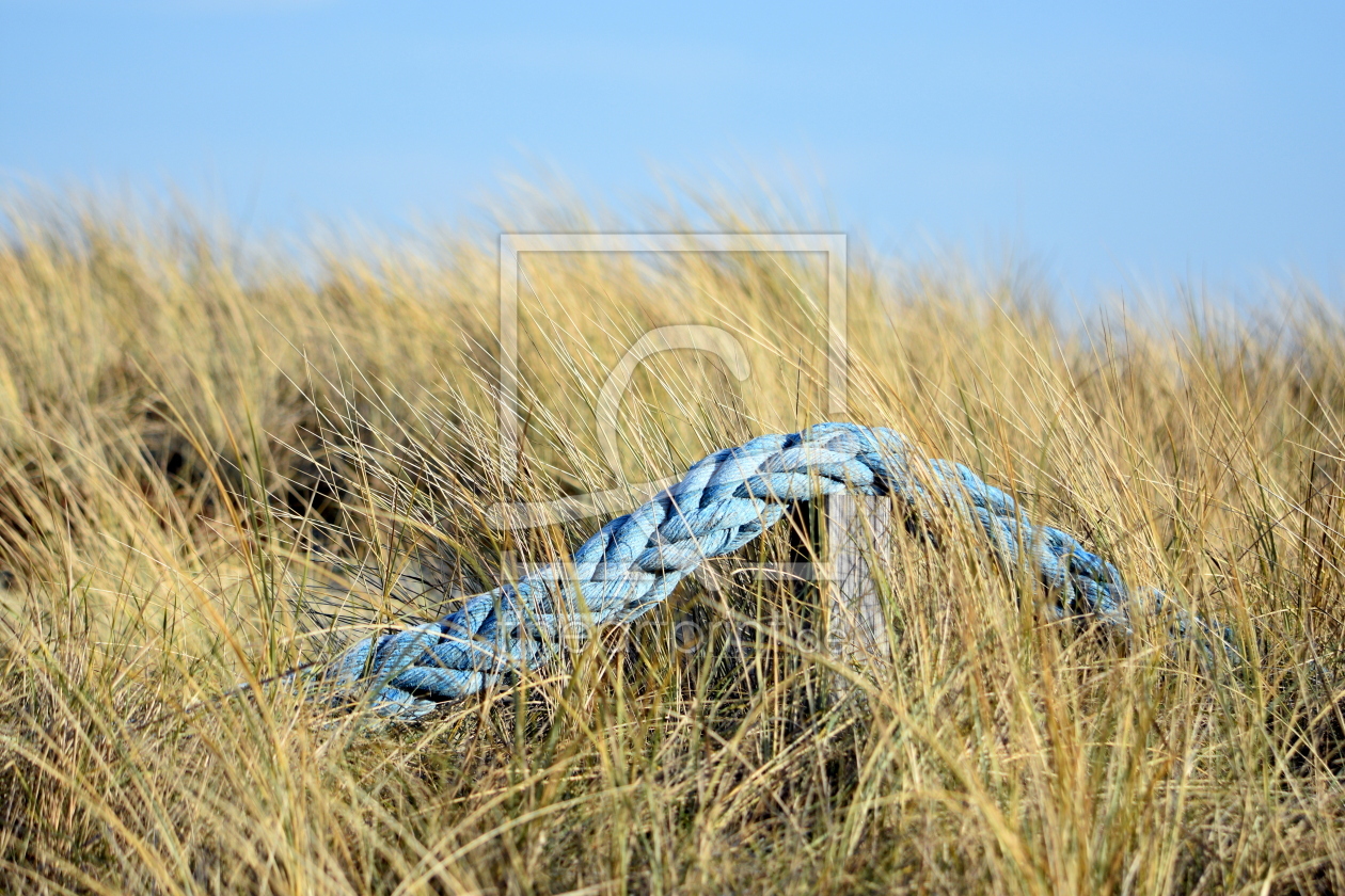 Bild-Nr.: 12939964 Im Dünengras erstellt von GUGIGEI