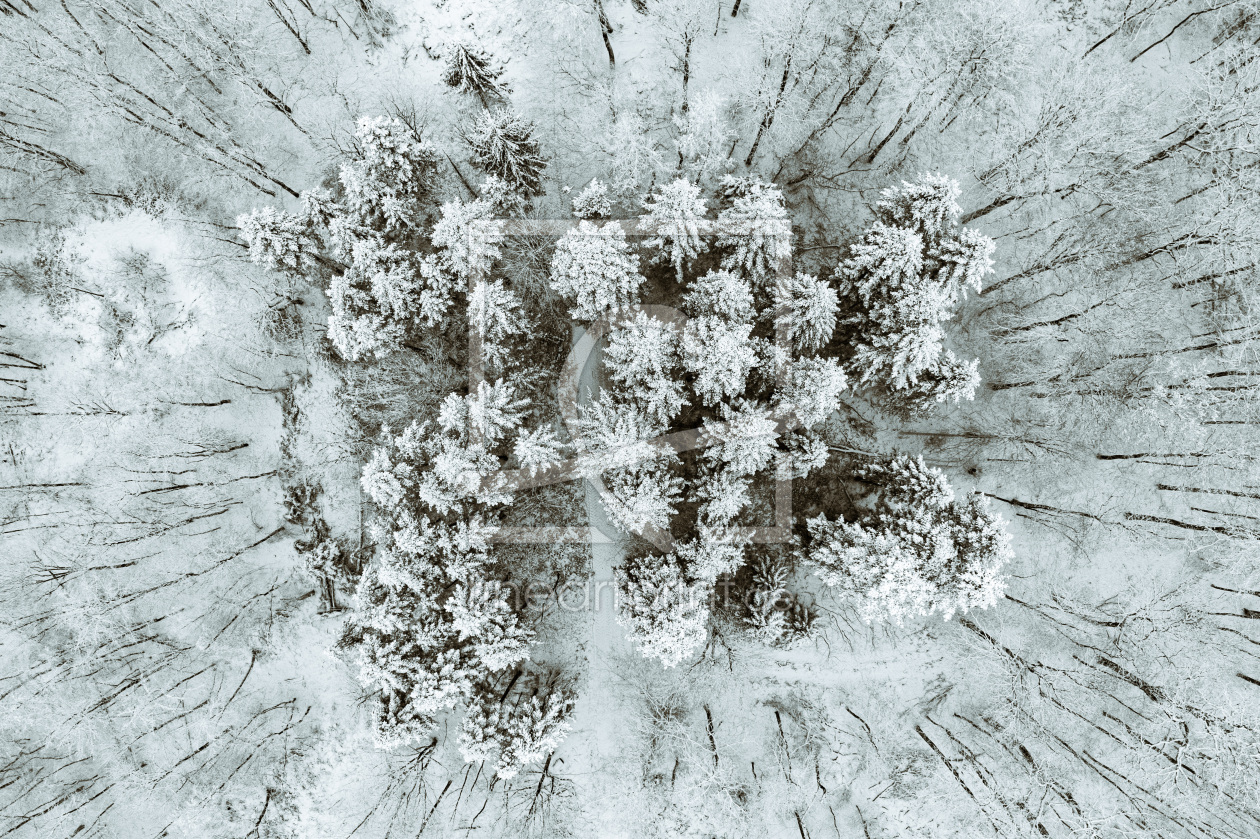 Bild-Nr.: 12939984 Winterwald erstellt von Armin Redöhl