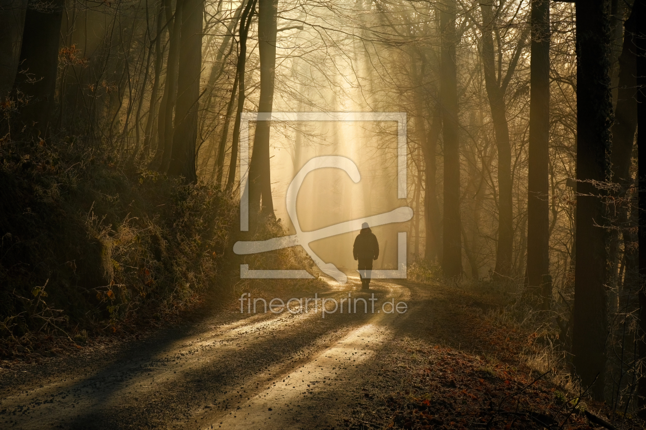 Bild-Nr.: 12940027 Spaziergang durch nebligen Wald mit Sonnenstrahlen erstellt von Smileus