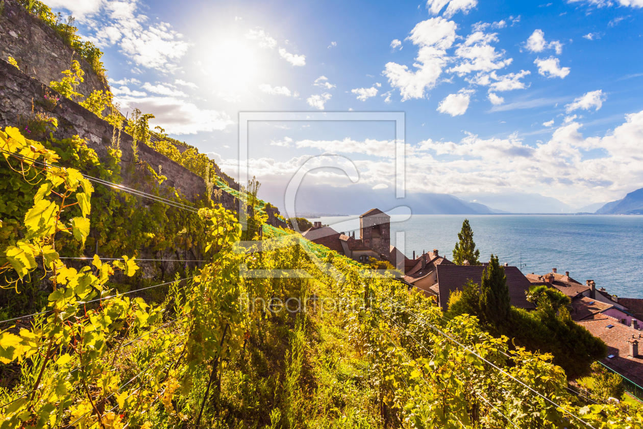 Bild-Nr.: 12940039 Saint-Saphorin im Lavaux  am Genfersee - Schweiz erstellt von dieterich