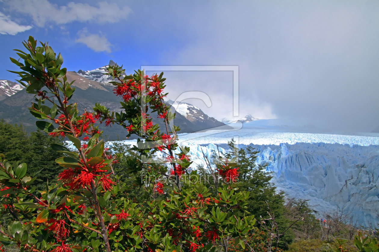 Bild-Nr.: 12940199 Perito Moreno Gletscher erstellt von Gerhard Albicker