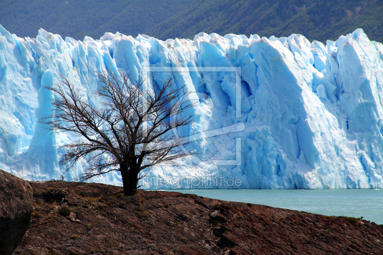 Bild-Nr.: 12940202 Perito Moreno Gletscher erstellt von Gerhard Albicker