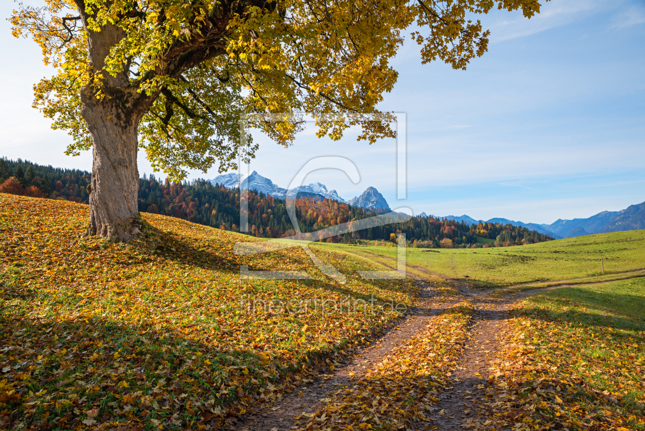 Bild-Nr.: 12940392 Herbst im Werdenfelser Land erstellt von SusaZoom