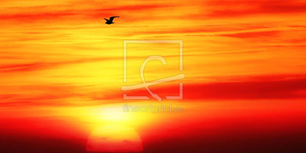 Bild-Nr.: 12949732 Einsamer Vogel erstellt von Gerhard Albicker