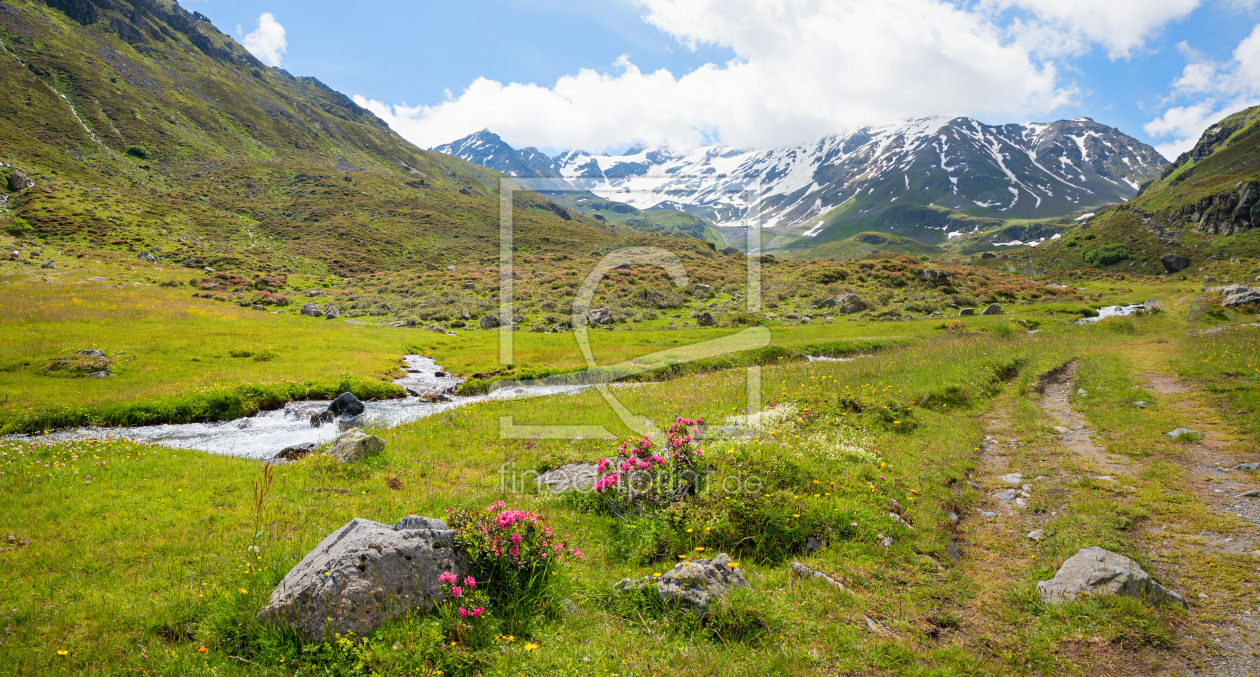 Bild-Nr.: 12950329 Frühlingspanorama Dischmatal mit Bach Graubünden erstellt von SusaZoom