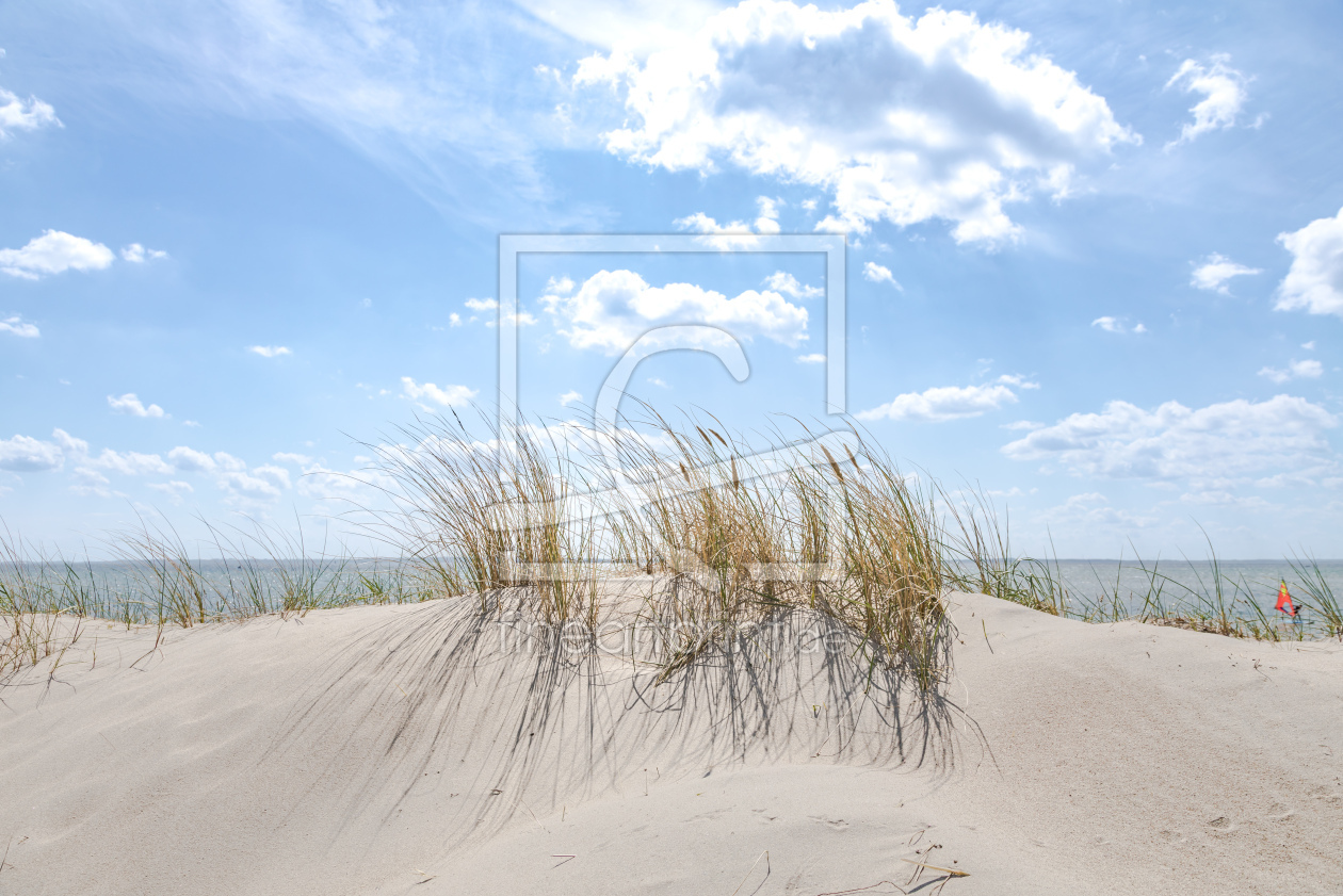 Bild-Nr.: 12957362 Ostsee  Strandüne erstellt von Ursula Reins