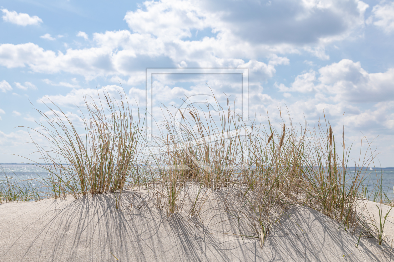 Bild-Nr.: 12957369 Ostsee Dünenstrand erstellt von Ursula Reins