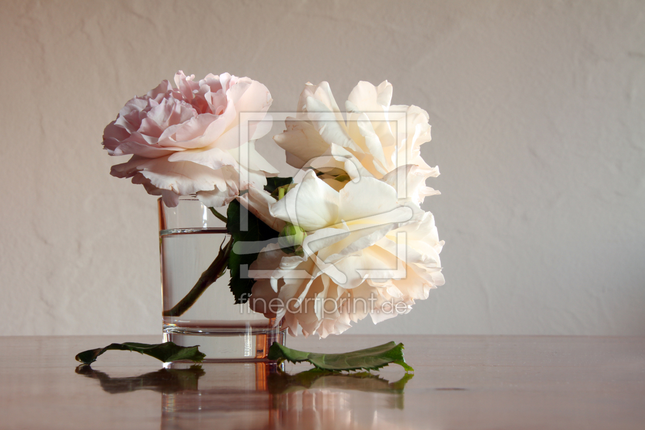 Bild-Nr.: 12957401 Rosen erstellt von Gerhard Albicker