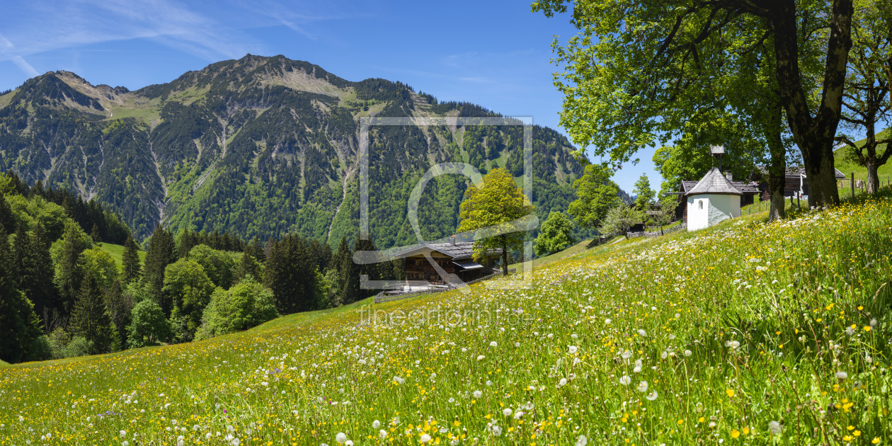 Bild-Nr.: 12957620 Alpenfrühling im Allgäu erstellt von Walter G. Allgöwer