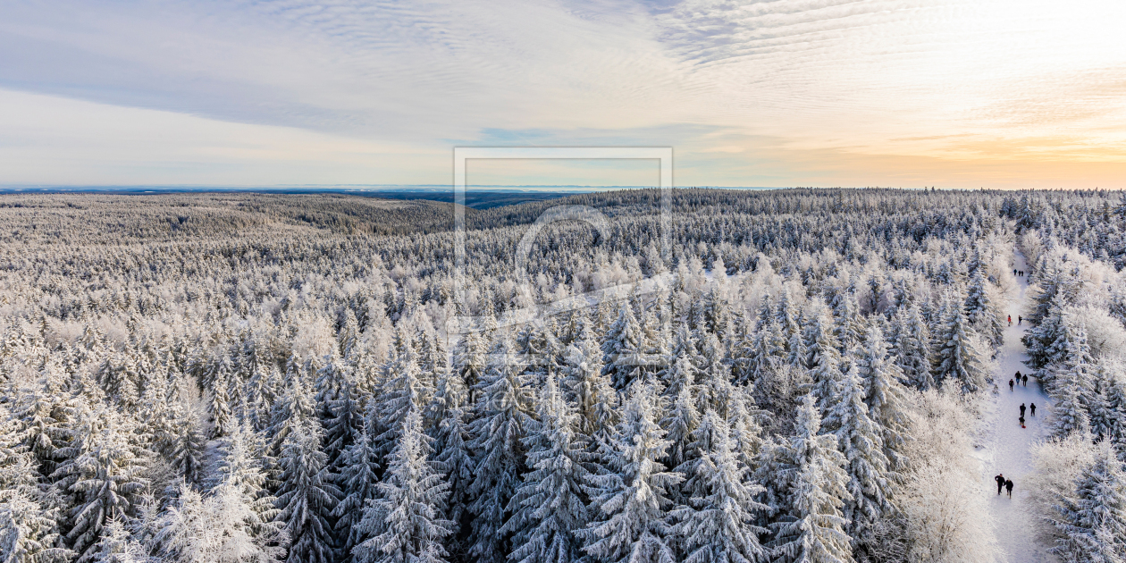 Bild-Nr.: 12957875 Wald bei Kaltenbronn im Schwarzwald erstellt von dieterich