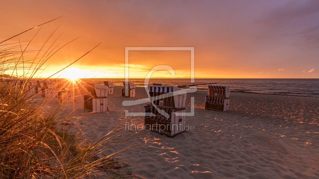 Bild-Nr.: 12957880 Strandkörbe am Strand in Kühlungsborn - Ostsee erstellt von dieterich