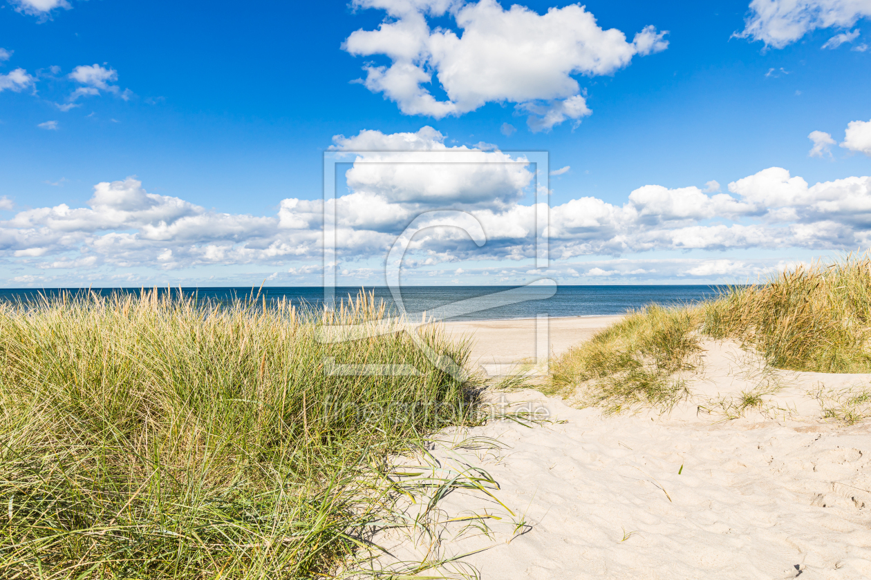 Bild-Nr.: 12961643 Sommer am Nordseestrand erstellt von Ursula Reins