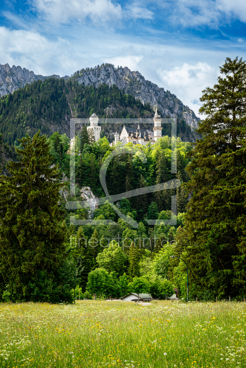 Bild-Nr.: 12962071 Neuschwanstein 40 erstellt von Erhard Hess