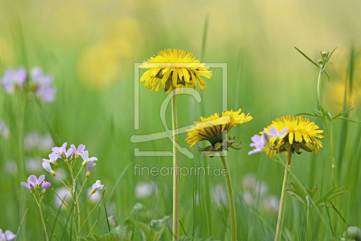 Bild-Nr.: 12965259 Frühling erstellt von GUGIGEI