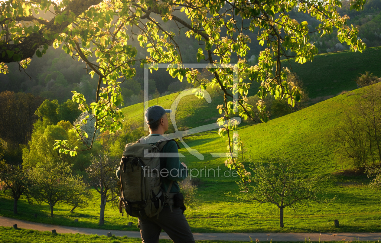 Bild-Nr.: 12965397 Wanderer steht unter Baum im Frühling erstellt von Smileus