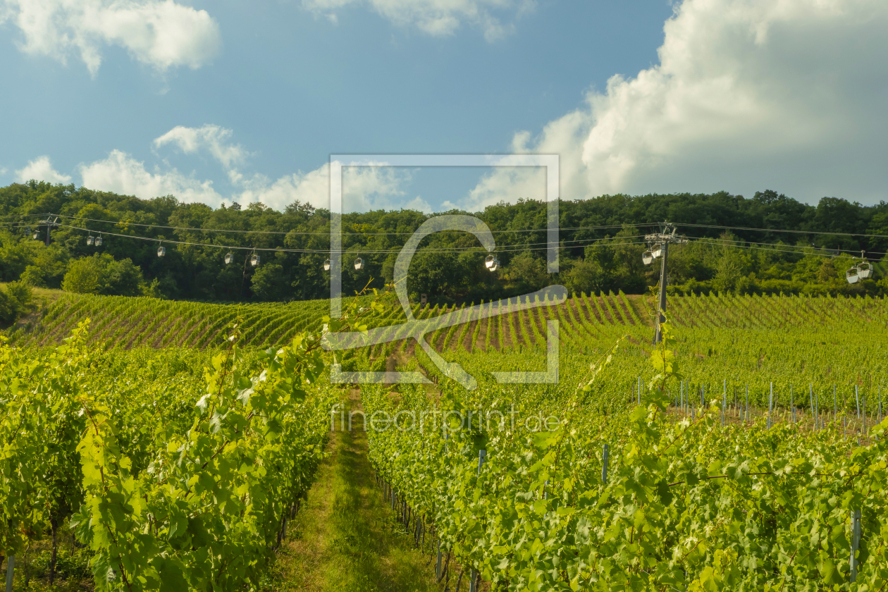 Bild-Nr.: 12967440 Seilbahn durch die Weinberge - Rüdesheim am Rhein erstellt von uh-Photography