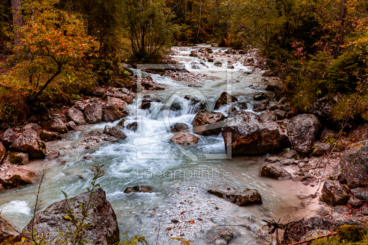 Bild-Nr.: 12967744 Herbst im Zauberwald erstellt von DirkR