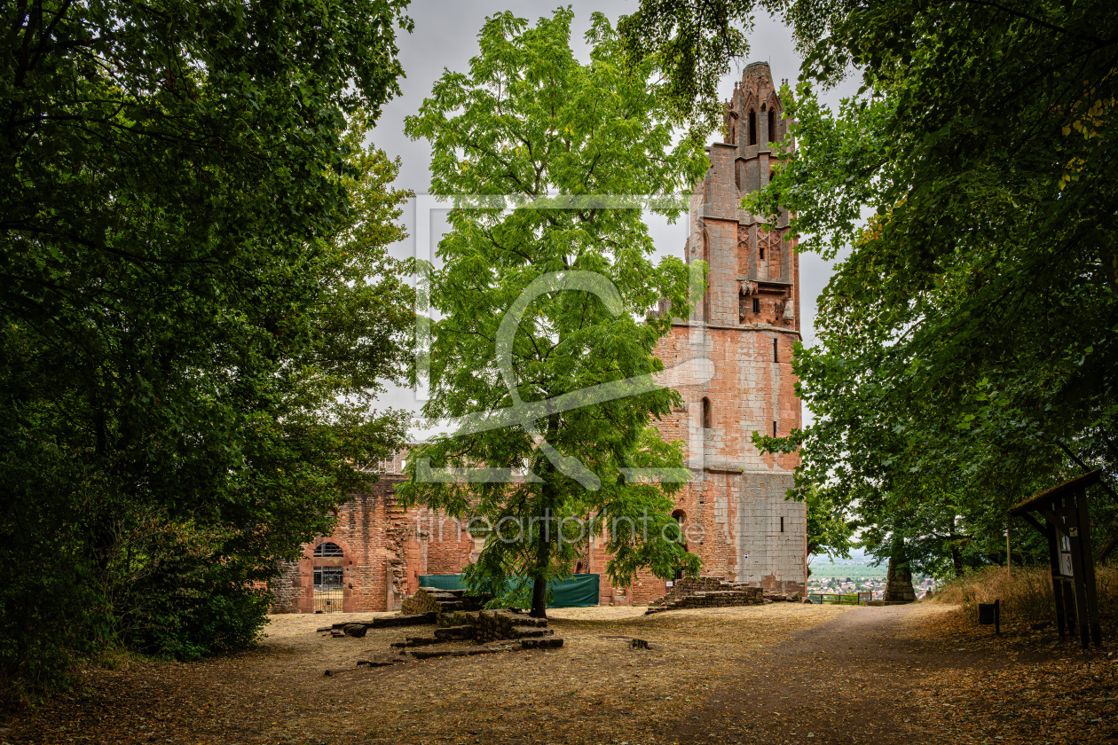 Bild-Nr.: 12967826 Klosterruine Limburg 19 erstellt von Erhard Hess