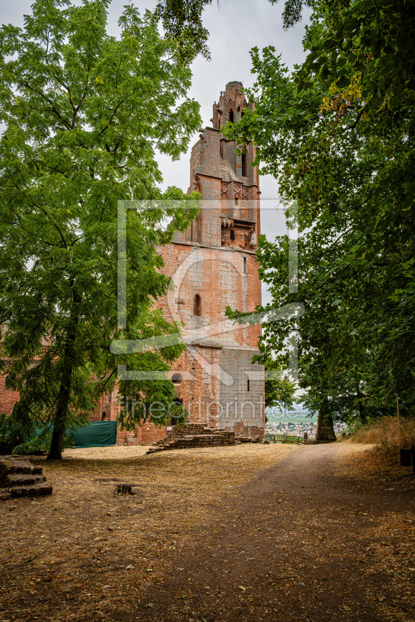 Bild-Nr.: 12967827 Klosterruine Limburg 21 erstellt von Erhard Hess