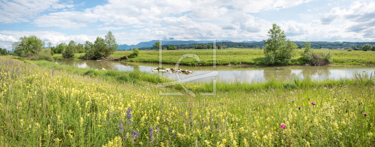 Bild-Nr.: 12968633 Wildblumenwiese an der Mangfall erstellt von SusaZoom