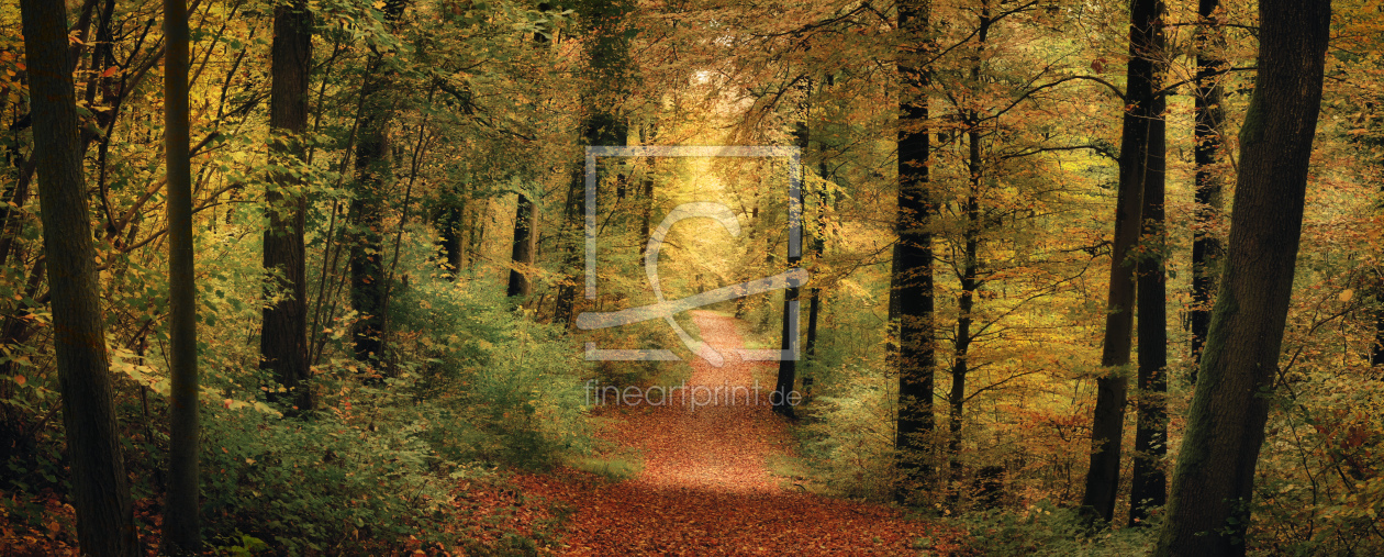 Bild-Nr.: 12968667 Ruhige Herbstlandschaft in einem farbenfrohen Wald erstellt von Smileus