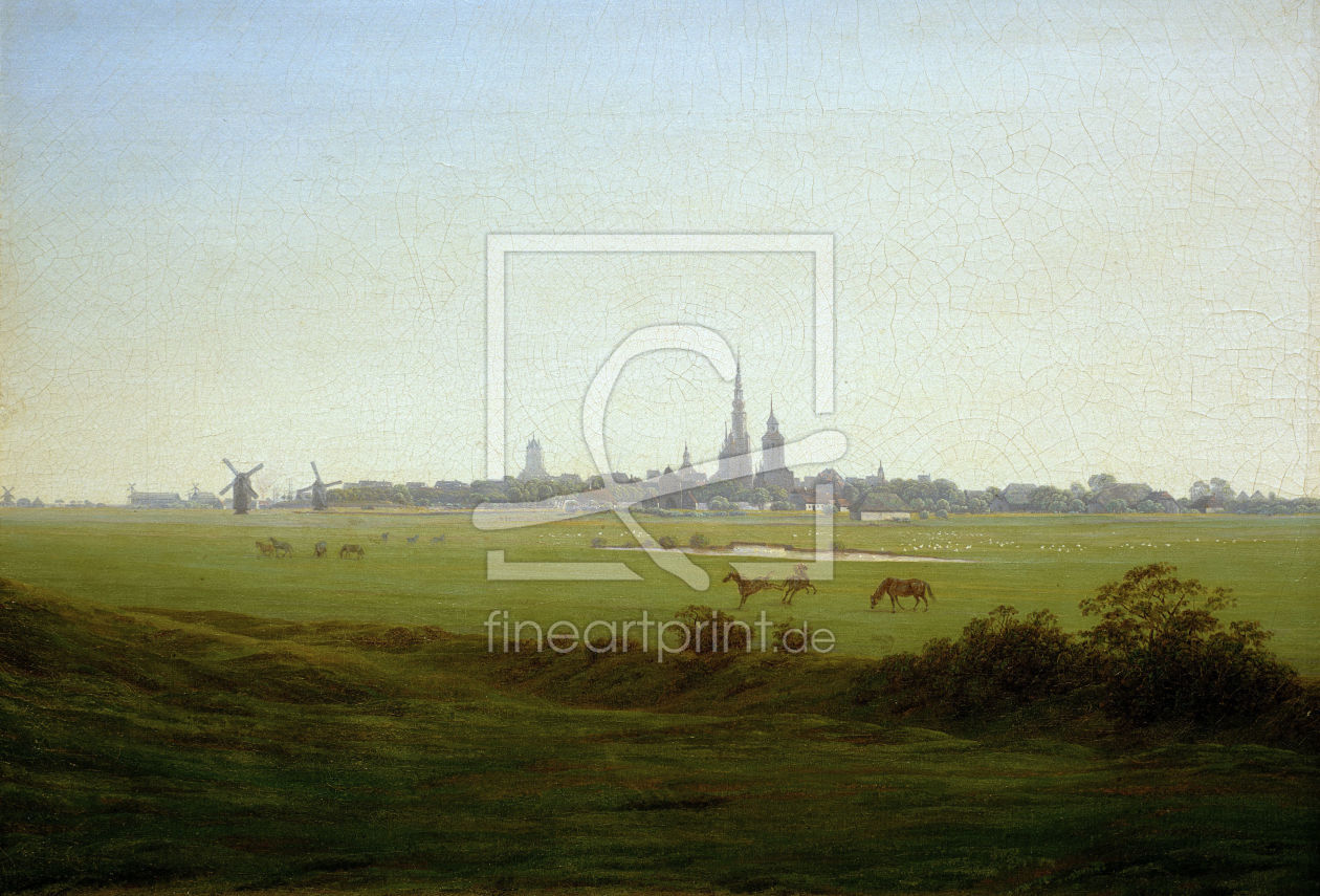 Bild-Nr.: 30000300 Friedrich/Meadows near Greifswald/c.1815 erstellt von Friedrich, Caspar David