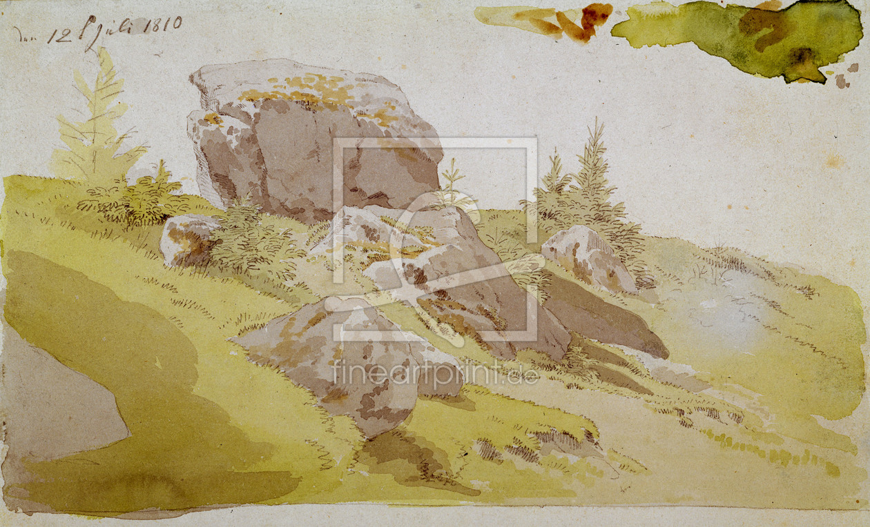 Bild-Nr.: 30000362 Friedrich/Meadowland, Riesengebirge/1810 erstellt von Friedrich, Caspar David