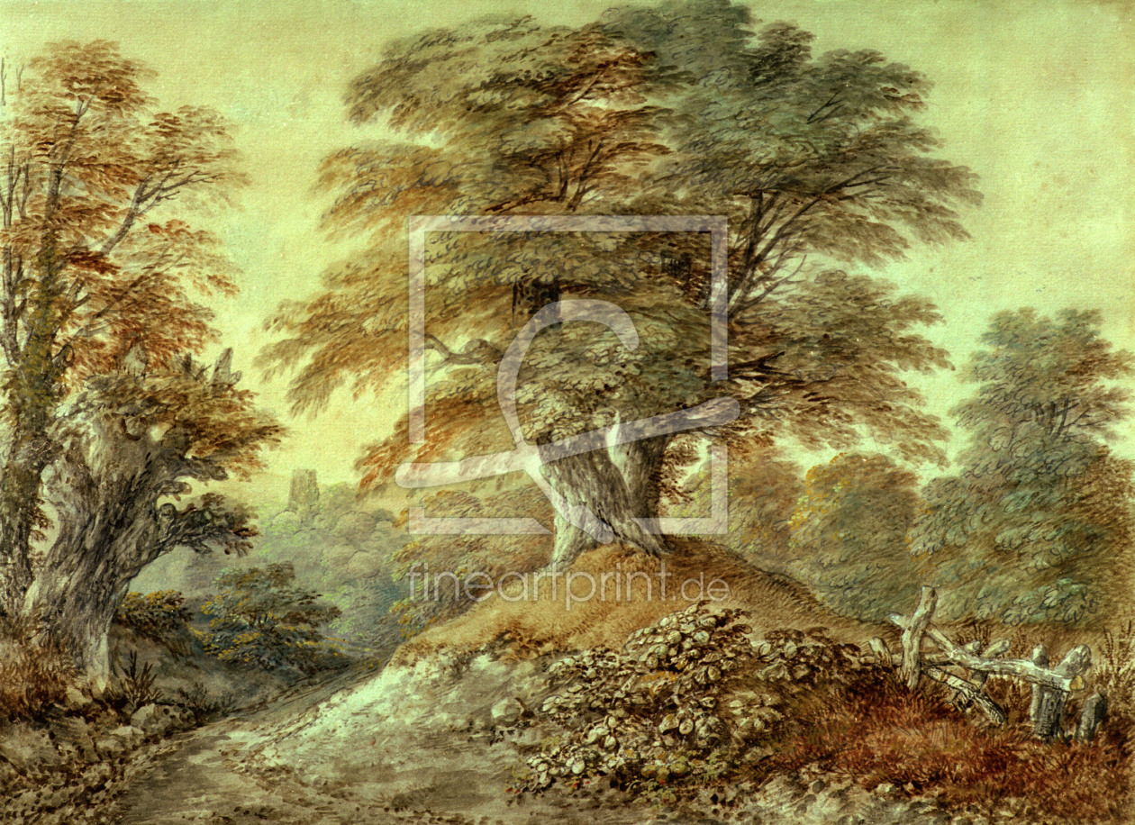Bild-Nr.: 30000682 Th.Gainsborough, Study of Beech Trees... erstellt von Gainsborough, Thomas