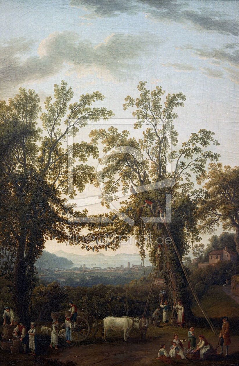 Bild-Nr.: 30000962 Ph.Hackert / Autumn: Vineyard... / 1784 erstellt von Hackert, Philipp