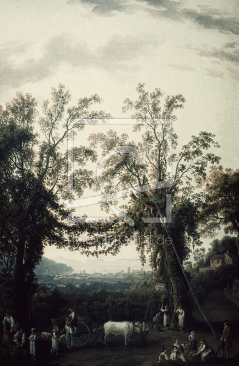 Bild-Nr.: 30000968 Ph.Hackert / Autumn: Vineyard... / 1784 erstellt von Hackert, Philipp