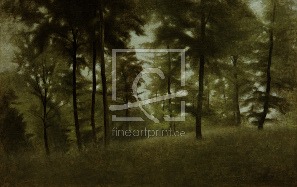 Bild-Nr.: 30001016 V.Hammershöi /Young Beech Forest/ 1904 erstellt von Hammershöi, Vilhelm