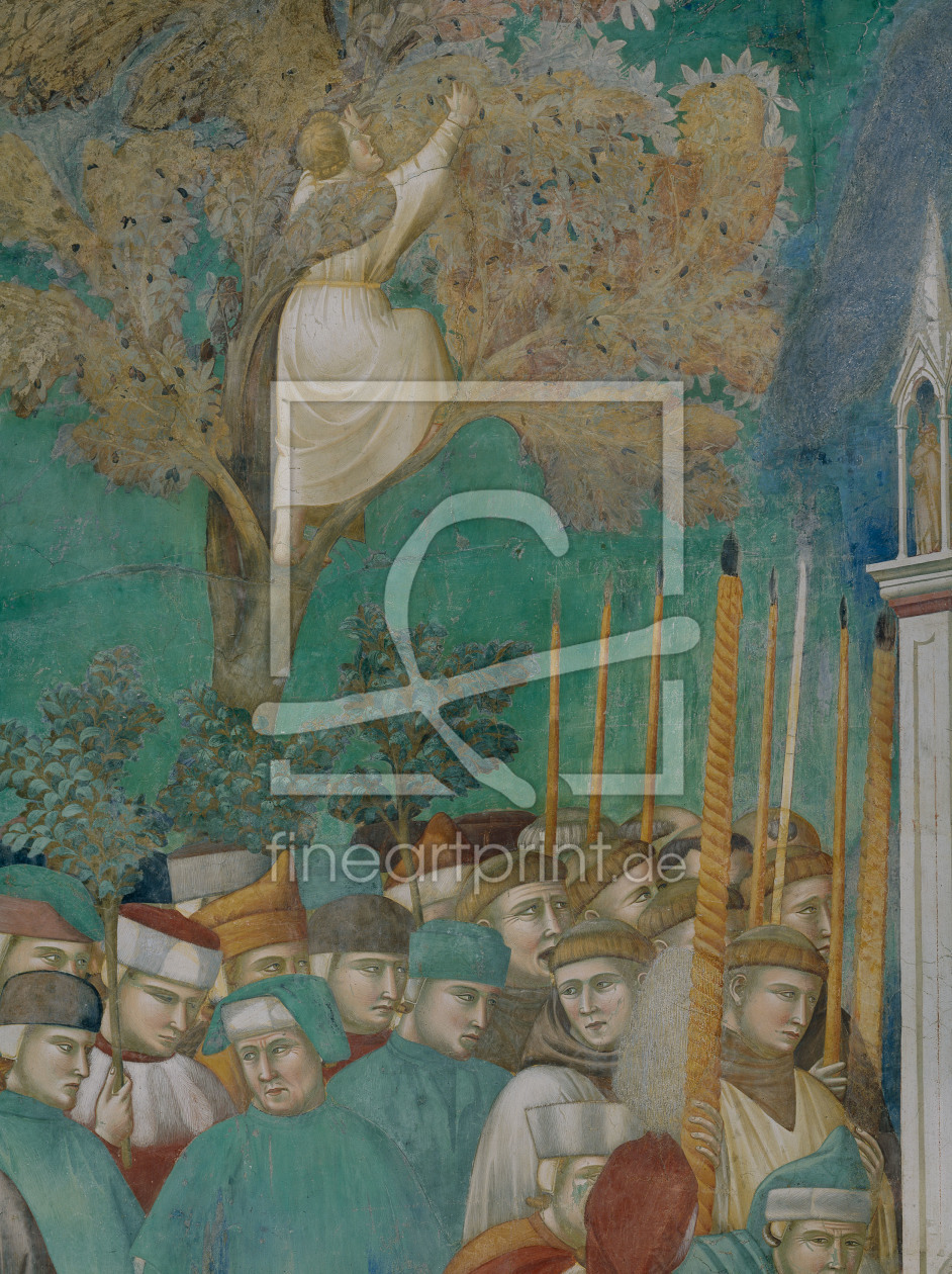 Bild-Nr.: 30001070 Giotto, Knabe im Baum erstellt von Giotto di Bondone