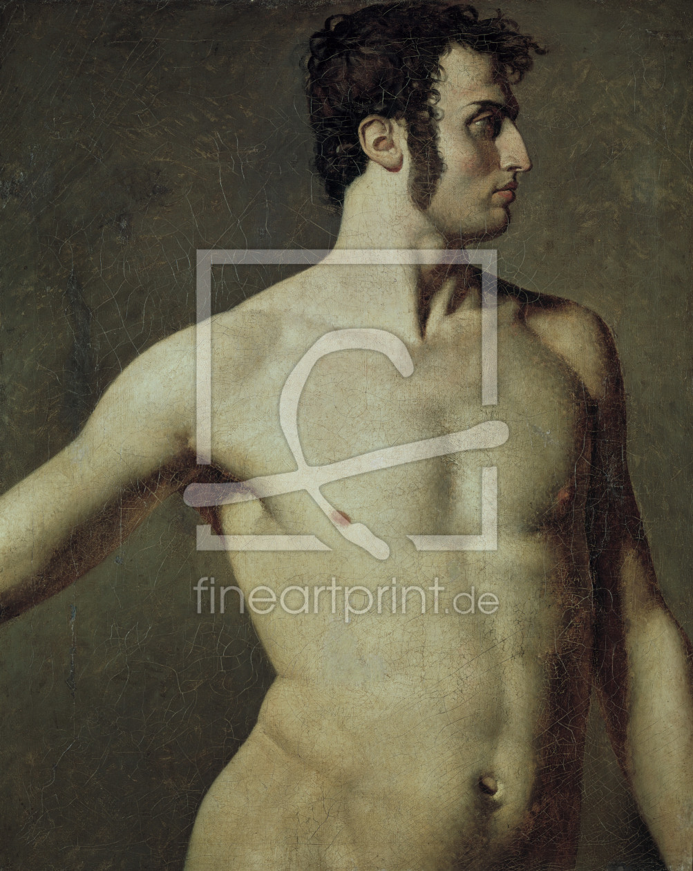 Bild-Nr.: 30001176 Ingres / Male torso / Painting / c. 1800 erstellt von Ingres, Jean-Auguste-Dominique