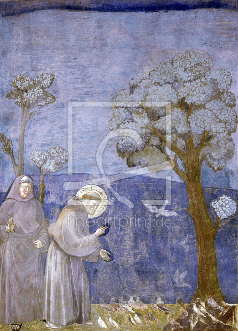 Bild-Nr.: 30001926 St.Francis Preaches to Birds /Fresco/C13 erstellt von Giotto di Bondone