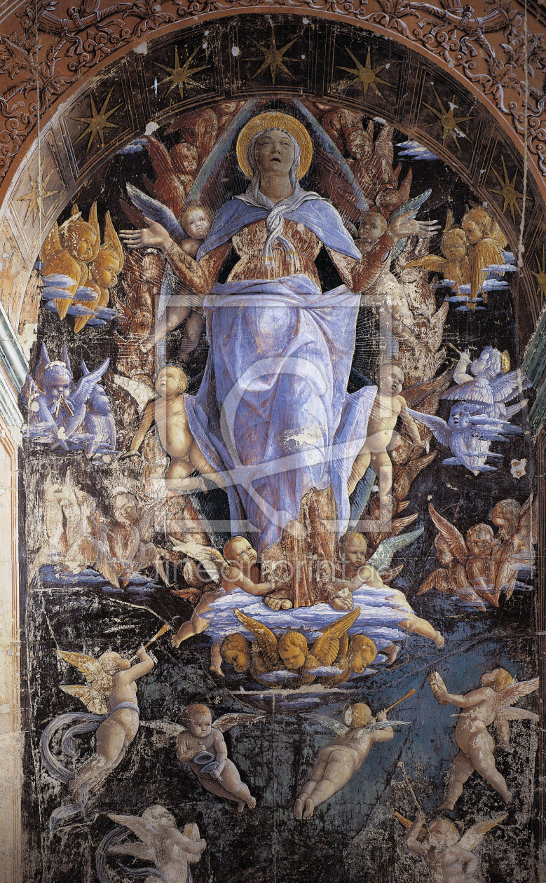 Bild-Nr.: 30002184 A.Mantegna / Ascension of Mary / Fresco erstellt von Mantegna, Andrea
