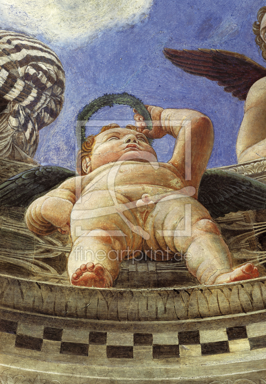 Bild-Nr.: 30002392 Mantegna, Camera degli Sposi / Putto erstellt von Mantegna, Andrea