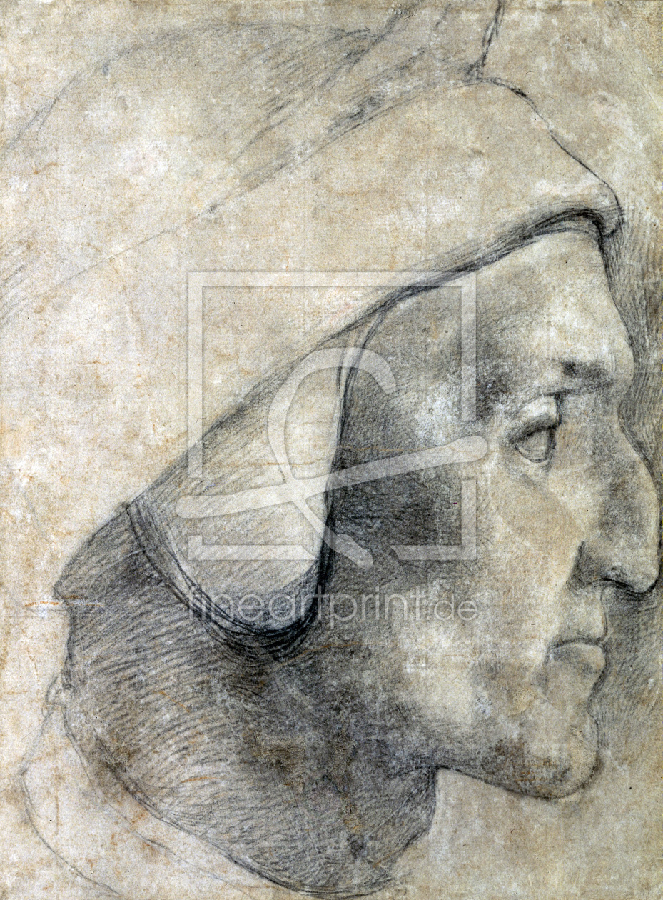 Bild-Nr.: 30002746 Dante / Drawing by A. Bronzino erstellt von Bronzino, Agnolo