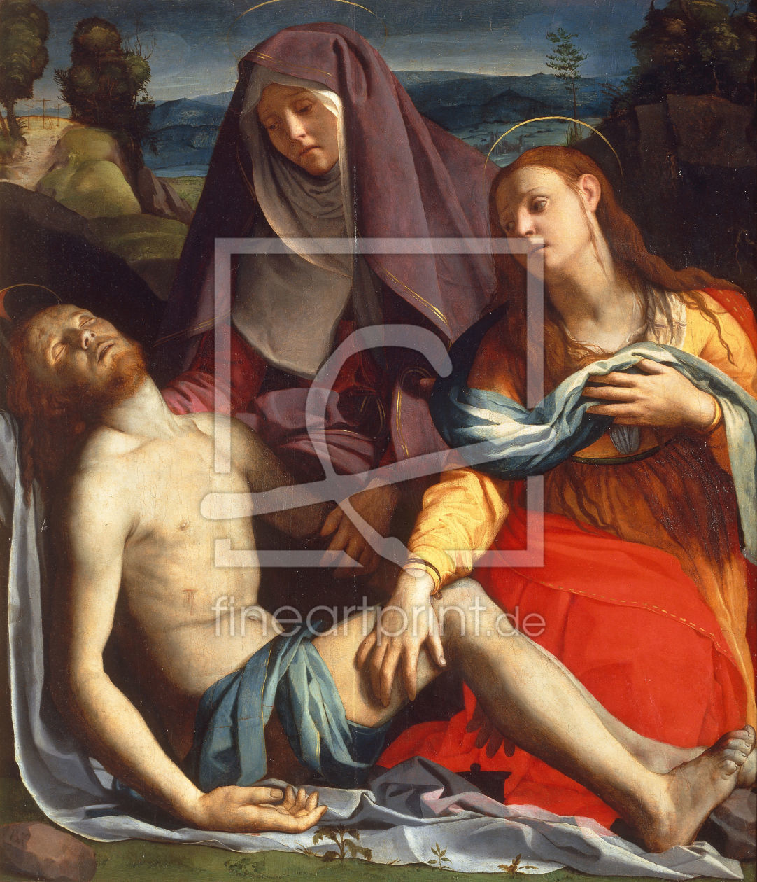 Bild-Nr.: 30002778 Dead Christ & Mary / Bronzino / c.1530 erstellt von Bronzino, Agnolo