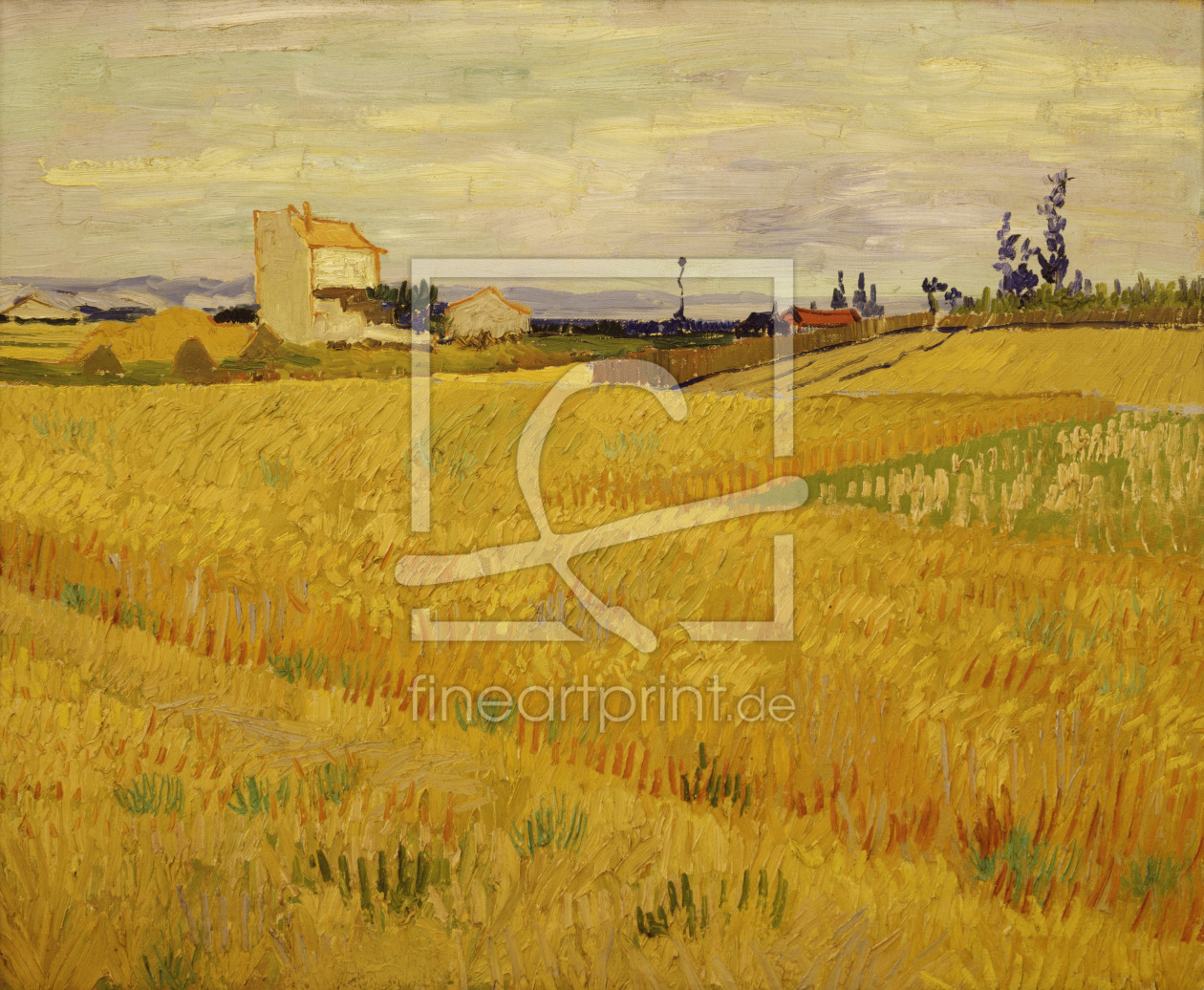 Bild-Nr.: 30002856 Van Gogh / Cornfield / c.1888 erstellt von van Gogh, Vincent