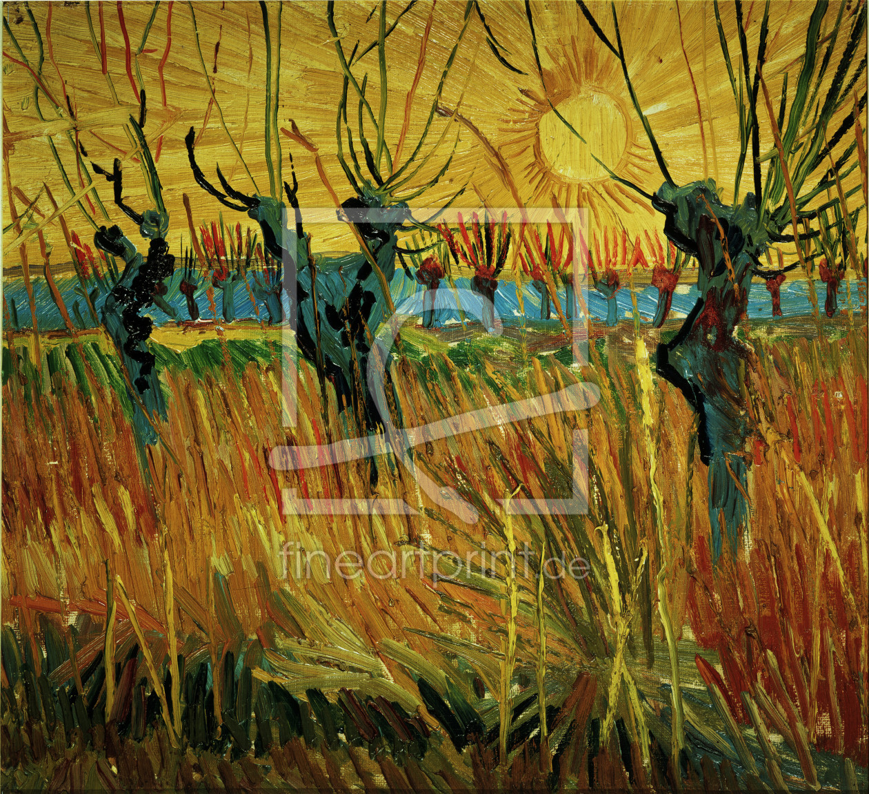Bild-Nr.: 30002864 Van Gogh / Willows at Sunset / 1888 erstellt von van Gogh, Vincent