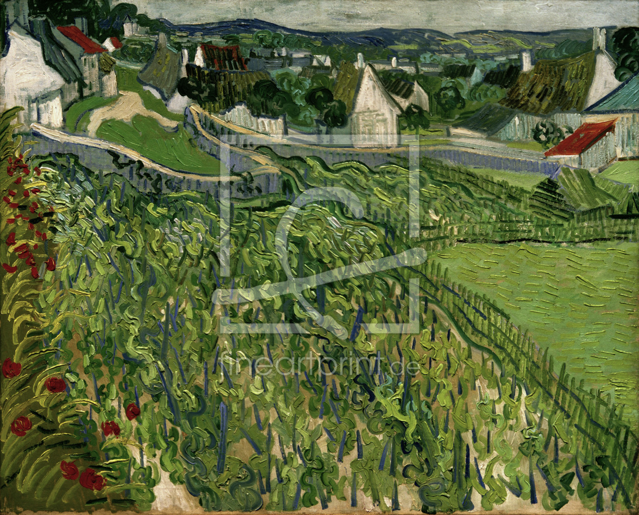 Bild-Nr.: 30002882 van Gogh / Vineyards at Auvers / 1890 erstellt von van Gogh, Vincent