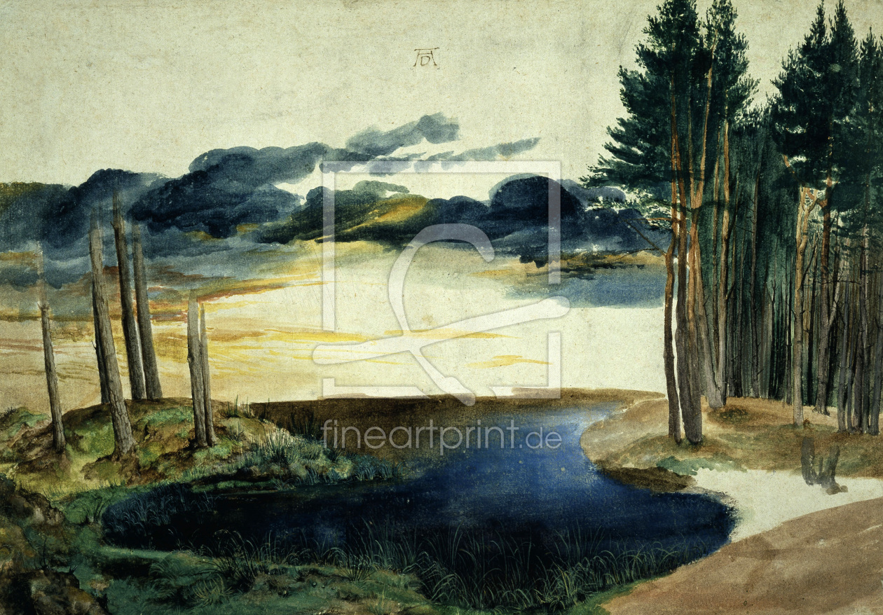Bild-Nr.: 30002954 A.DÃ¼rer, Lake in the Woods / watercolour erstellt von DÃ¼rer, Albrecht
