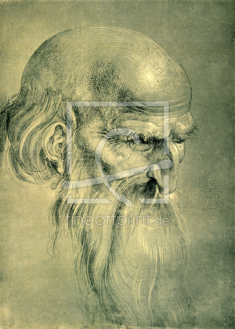 Bild-Nr.: 30002984 Head of an Apostles / DÃ¼rer / 1508 erstellt von DÃ¼rer, Albrecht