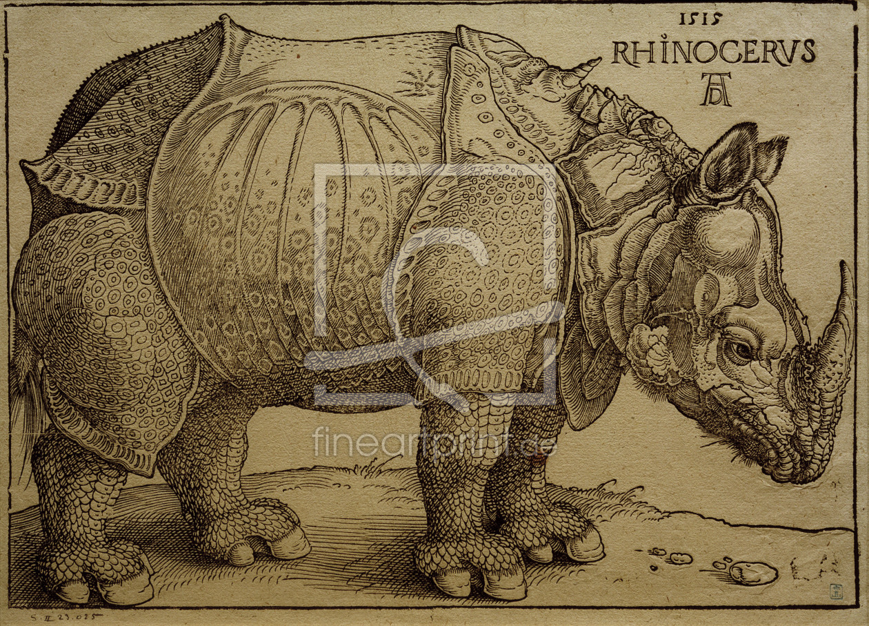 Bild-Nr.: 30002992 A.Dürer, Rhinoceros / Woodcut / 1515 erstellt von Dürer, Albrecht