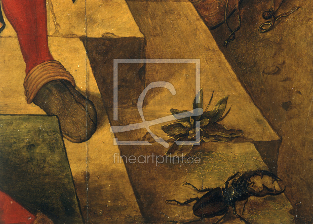 Bild-Nr.: 30003034 A.Dürer, Adoration of Kings, stag beetle erstellt von Dürer, Albrecht