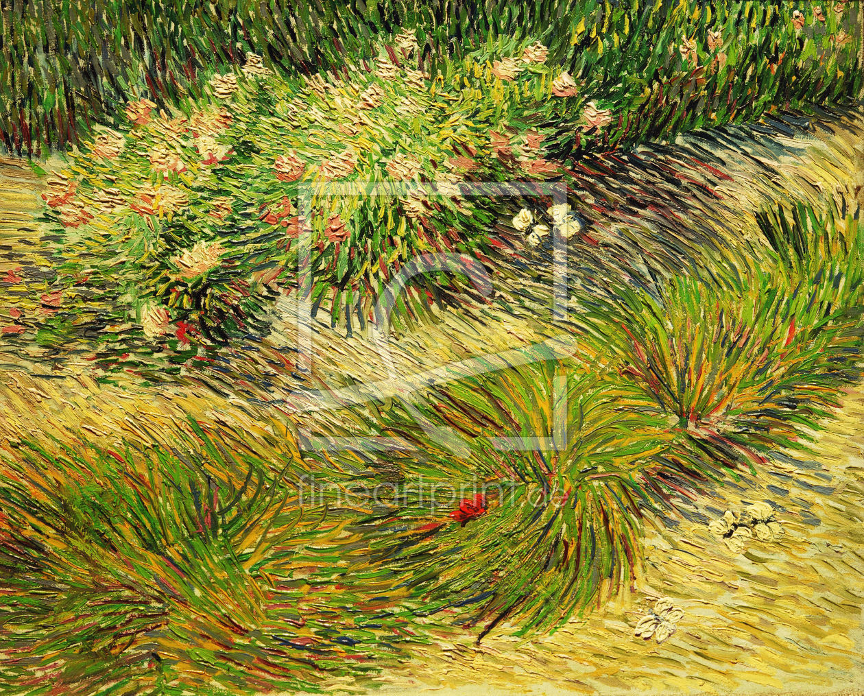 Bild-Nr.: 30003054 Van Gogh / Butterflies and Flowers erstellt von van Gogh, Vincent