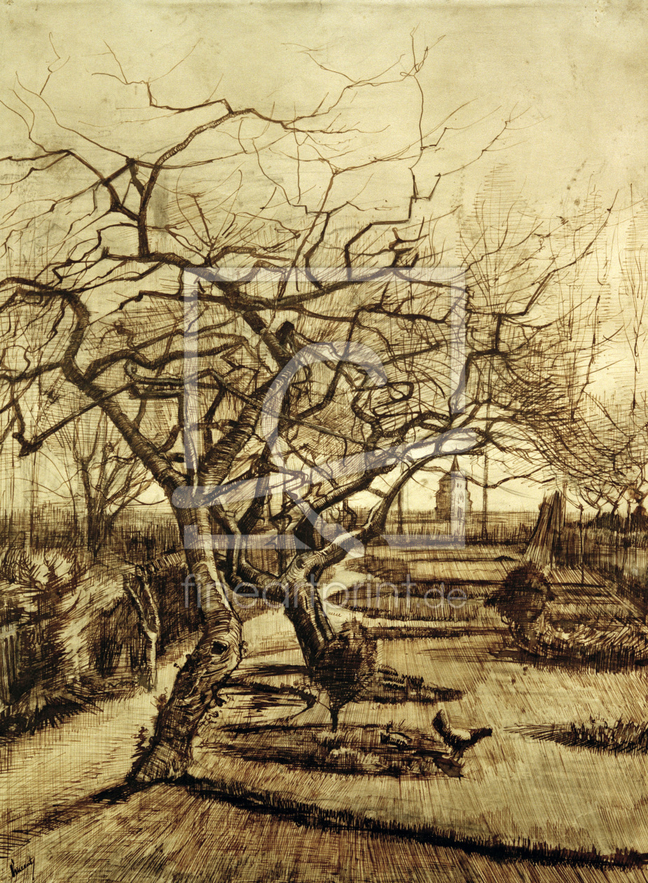Bild-Nr.: 30003120 v.Gogh, Parsonage Garden in Nuenen/Draw. erstellt von van Gogh, Vincent