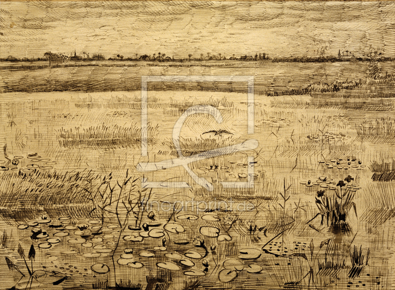 Bild-Nr.: 30003184 V.van Gogh, Marsh w.Water Lillies/ 1881 erstellt von van Gogh, Vincent