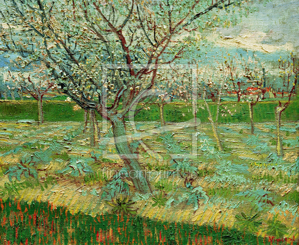 Bild-Nr.: 30003214 van Gogh / Orchard in Blossom / 1888 erstellt von van Gogh, Vincent